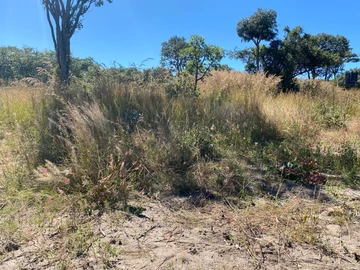  2900 m² Commercial Land for Sale in Marondera, Zimbabwe