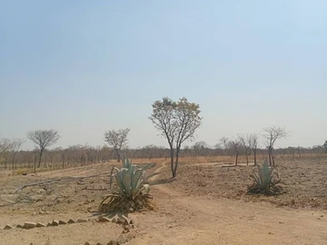Farm & Agricultural Land