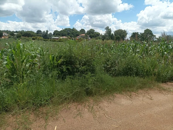 Land