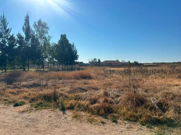 Stands & Residential Land