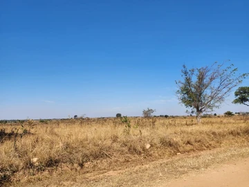 Land