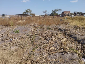 Commercial & Industrial Land