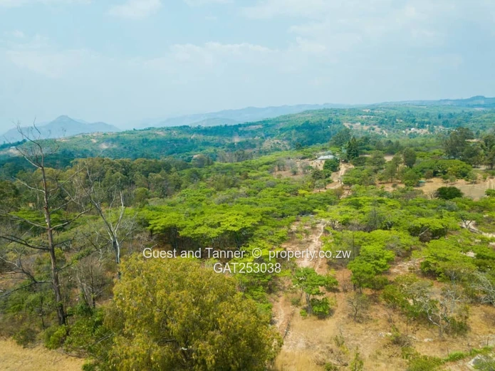 Nyanga Residential & Holiday Stands for Sale