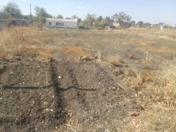 Stands & Residential Land