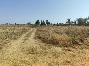 Farm & Agricultural Land