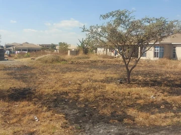 Stands & Residential Land
