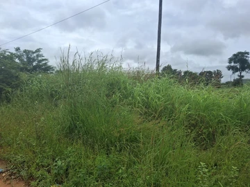 Commercial & Industrial Land
