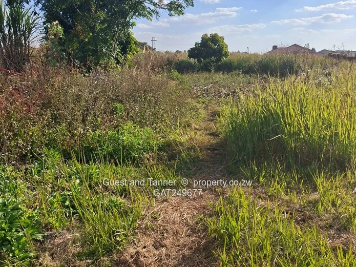 Prime 448m² Corner Stand for Sale in New Chadcombe