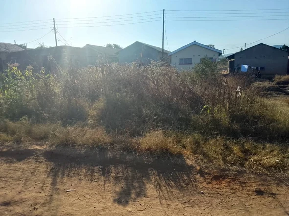 Land