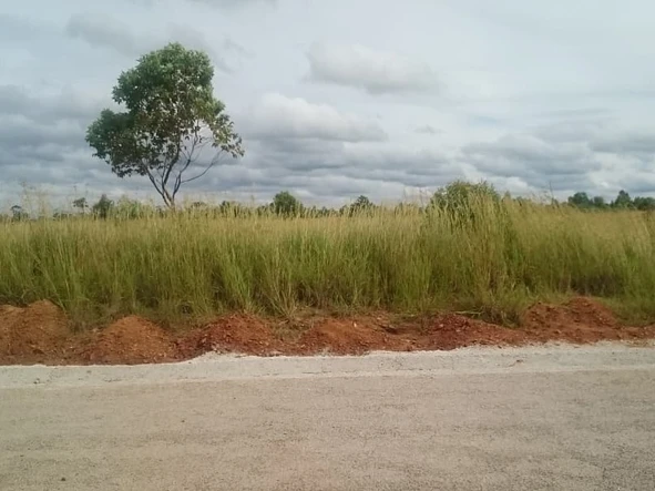 Land