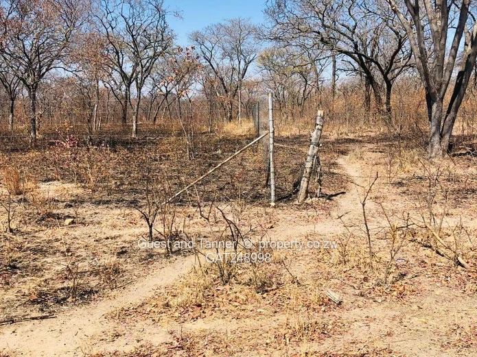 2 Prime Agricultural Plots for Sale – Ngezi Farming Area 