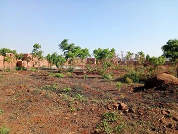 Stands & Residential Land