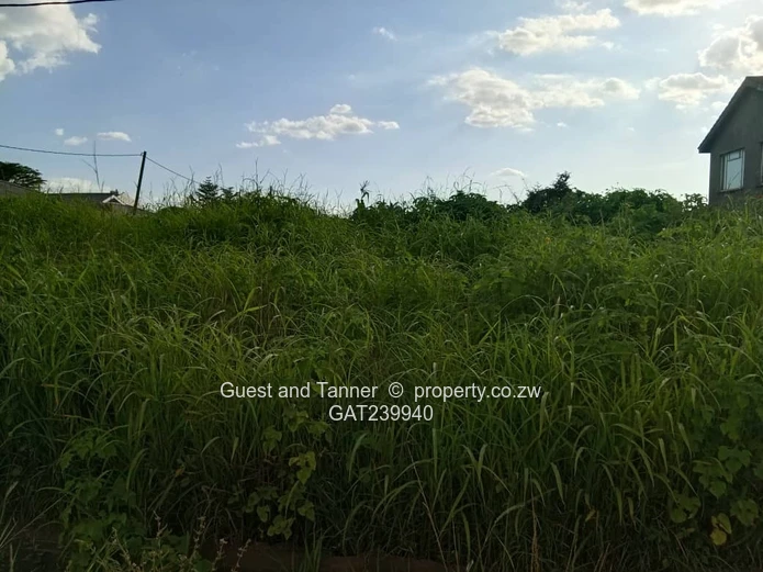 Stand for Sale in Marlborough with Title Deeds