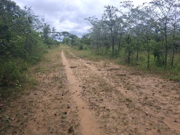 Land
