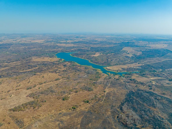 Farm & Agricultural Land