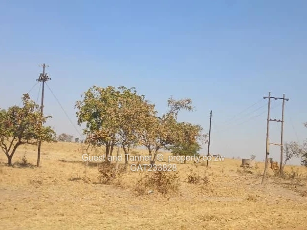Prime Agro-Residential Plots for Sale – Norton (Limited Availability, High Demand)