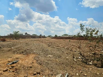 Land