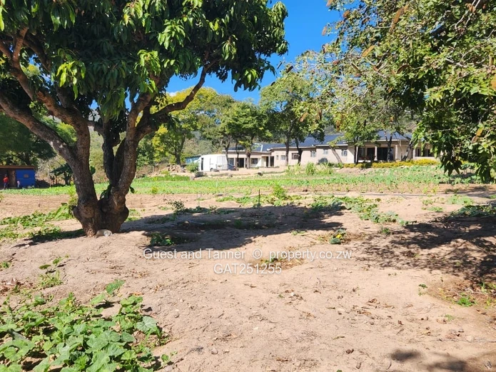 Luxury 6-Bedroom Mansion for Sale – Fern Valley, Mutare
