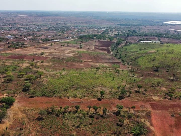 Farm & Agricultural Land