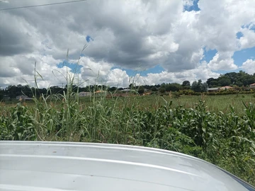 Land