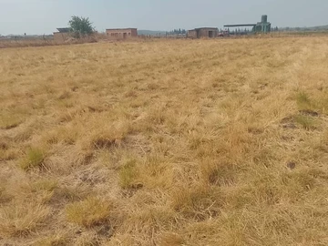 Farm & Agricultural Land