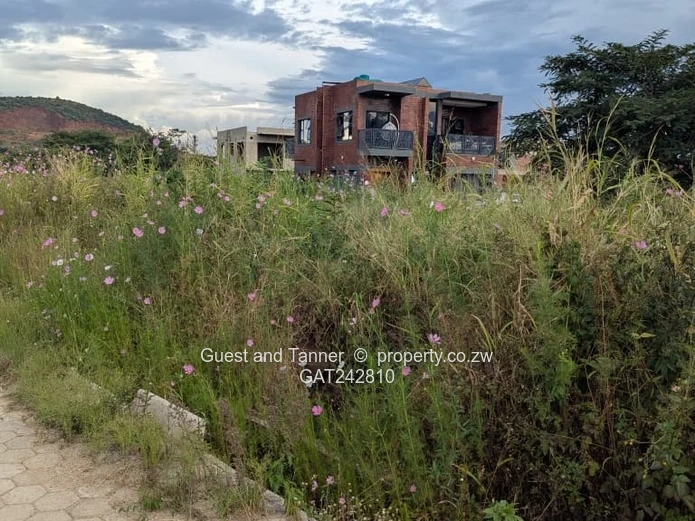 Stands for sale in Cold Comfort Pleasant Valley Gated Community