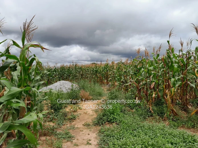 Prime 2550 m² Residential Stand for Sale in Sunway City - Harare East