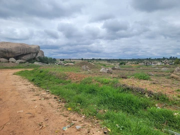 Stands & Residential Land