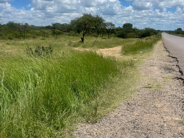 Commercial & Industrial Land