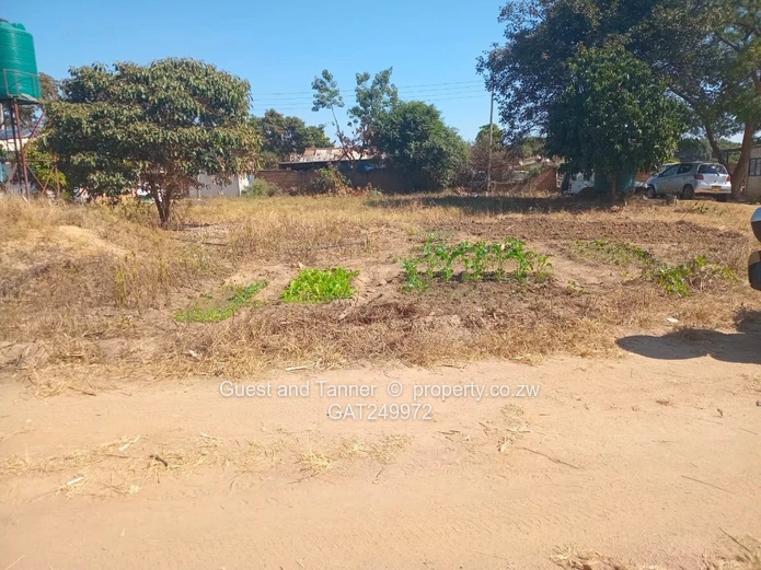 Stand for Sale - Waterfalls Prospect 