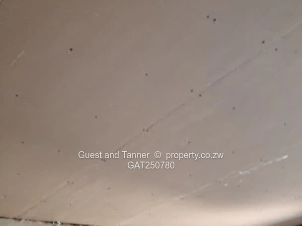 Affordable 3-Bedroom Home – Chipadze, Bindura