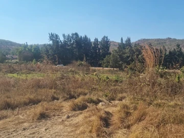 Commercial & Industrial Land