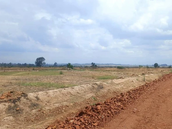 Stands & Residential Land