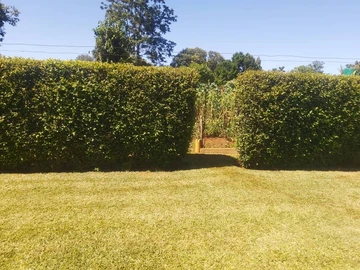 Prime Land in Mount Pleasant – 2000m² Opportunity Awaits!