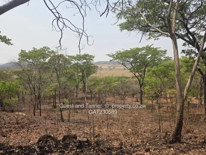 Residential Land For Sale In Lake Chivero's Eagle Heights
