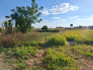Stands & Residential Land