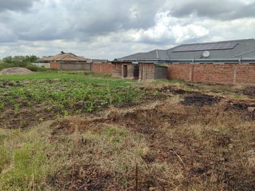Stands & Residential Land