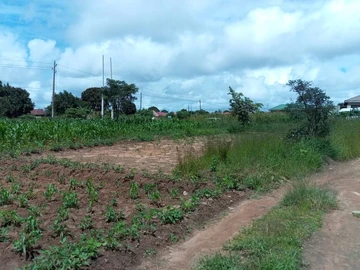Commercial & Industrial Land