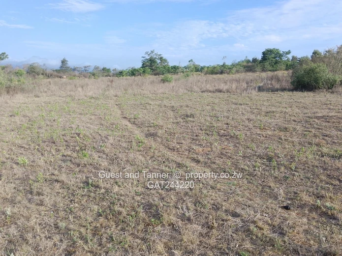 59.3ha Agricultural Farm For Sale In Mutare Odzani