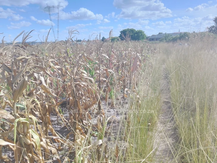 Prime 6405m² Suburban Commercial Land in Sunway City, Harare East