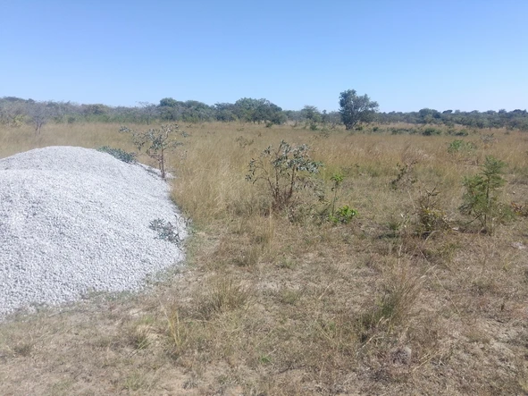 Land