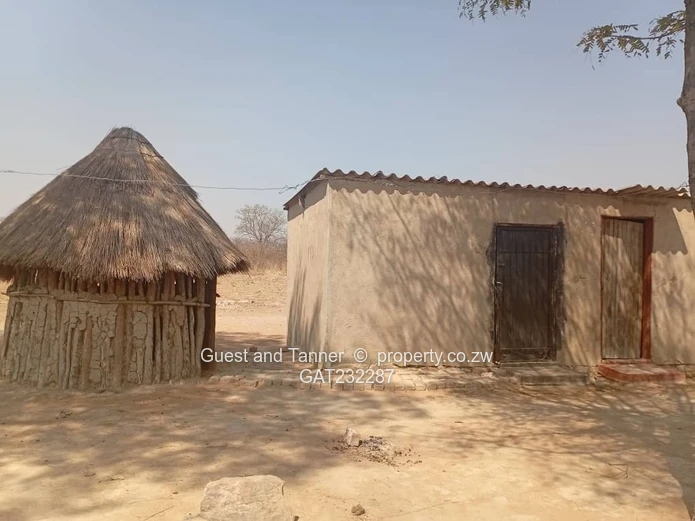 Invest in Chegutu's 4-hectare plot 