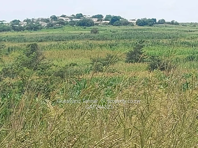 Extensive Commercial Land In For Sale In Chirundu!