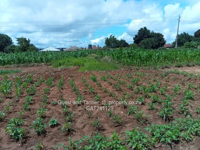 Prime 3.6 Hectares on Main Road in Elizabeth Park Ruwa Ideal for School or Cluster Development