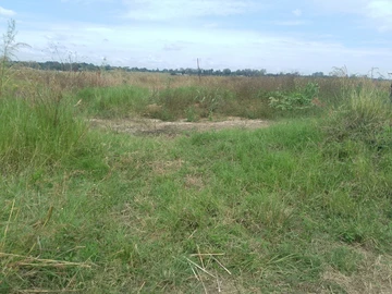 Residential Land for sale in Mt Pleasant Heights