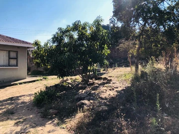 Stands & Residential Land