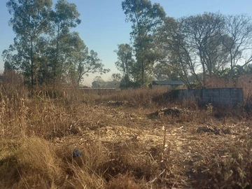 Land