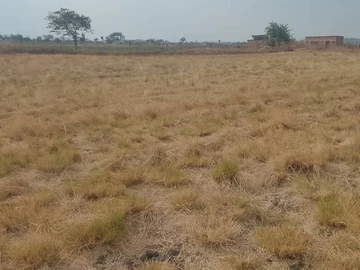 Farm & Agricultural Land