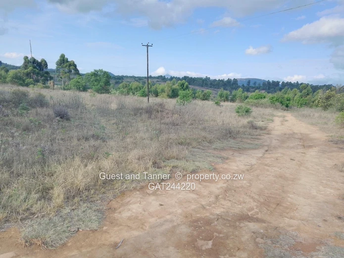 59.3ha Agricultural Farm For Sale In Mutare Odzani