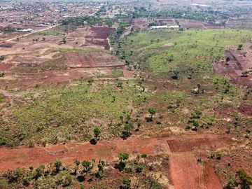 Farm & Agricultural Land